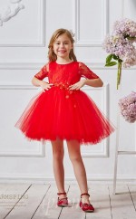 Rote Spitze Tüll Juwel Kurzarm Mini Prinzessin Kinder Ballkleid (FGD318)