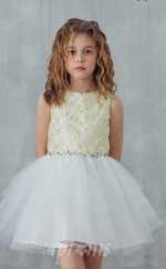 ärmelloses Organza-juwel ärmelloses Mini-prinzessin-kinderballkleid (FGD330)