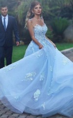 A-lineprincess Tüll Applique Bateau Zug Kleid JTC22313