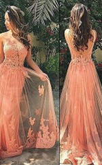 A-line Tüllriemen Trainieren Mit Appliziertem Kleid JTC3563