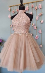 Kurze Halfter Teenager Rosa Spitzen -promkleid REAL032