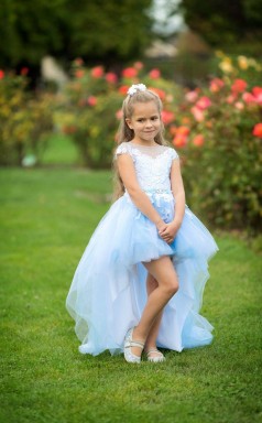 Hoch Niedrig Prinzessin Hellblau Blumenmädchen Kleid Mädchen Festzug Kleid Geburtstagskleider - Chk178